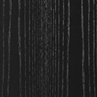 Forte III Black Ash finish
